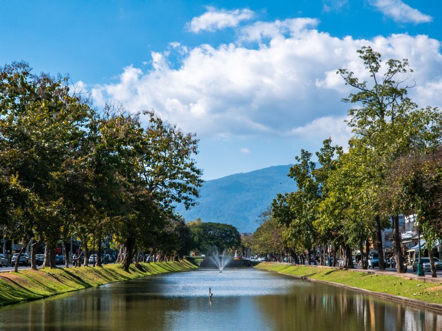 The seasonal decision first in Chiang Mai