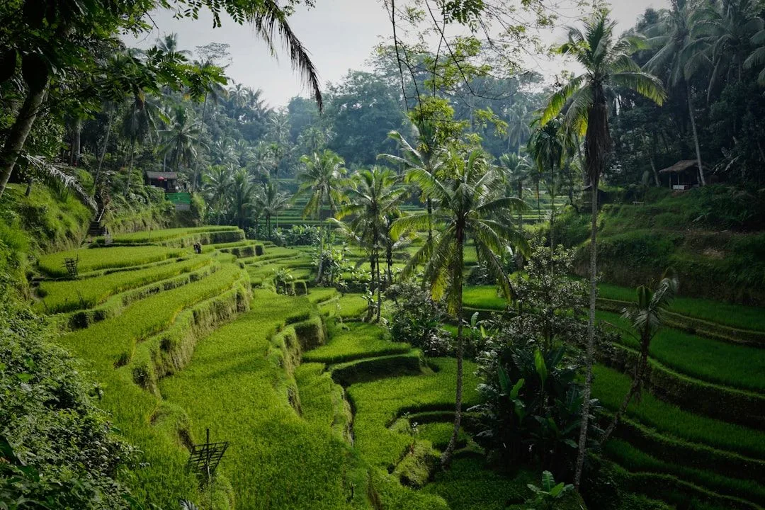 Vietnam Alone: Two Weeks on the Corridor
